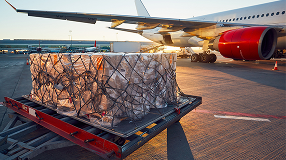 stable air freight route